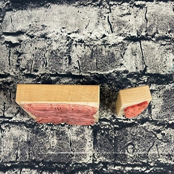 PSX K-1696 F-970 Mounted Rubber Stamps Butterflies, Roses and Cabbage Roses - Picture 2 of 11